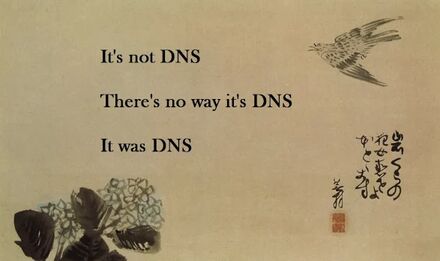 The DNS Haiku meme. Claude says: 'A meme styled like a traditional East Asian scroll or painting, featuring black text reading 'It's not DNS / There's no way it's DNS / It was DNS' alongside minimal ink brush illustrations of a flying bird and flowers. The image includes what appears to be Japanese or Chinese characters and a red seal stamp in the corner, mimicking traditional art styles.'